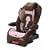 Safety 1st Alpha Omega Elite Convertible Car Seat, Brianna