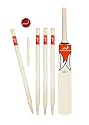 Woodworm Junior Cricket Set