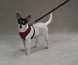 Casual Canine Mesh Harness Lrg Red