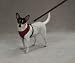 Casual Canine Mesh Harness Med Red