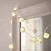 INST 10 LED Battery Operated White Rose Flower Fairy Lights Valentine Lights For Valentine's Day(Warmwhite)