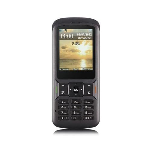 T�l�phone GSM SFR501NOIR