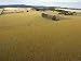 Aerial View of Farmland Criss-Crossed with Cow Trails, Australia Photographic Poster ...
