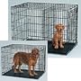 Midwest Life Stages Single-Door Folding Metal Dog Crate, 24 Inches by 18 Inches by 21 Inches