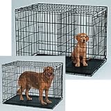 Midwest Life Stages Single-Door Folding Metal Dog Crate, 30 Inches by 21 Inches by 24 Inches