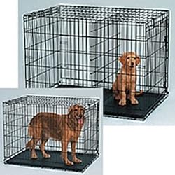 Midwest Life Stages Single-Door Folding Metal Dog Crate, 30 Inches by 21 Inches by 24 Inches