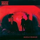 Muscle Museum