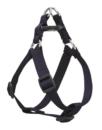 Lupine 3/4″ Black 20-30 Step In Dog Harness