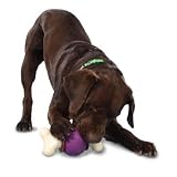 Pet Supplies : Premier Busy Buddy Bouncy Bone Medium/Large
