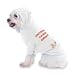always being right is an awesome responsibility Hooded T-Shirt for Dog or Cat MEDIUM - WHITE