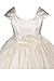 AMJ Dresses Inc Little-Girls' Flower Girl Communion Pageant Easter Wedding Dress