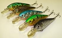 5 Custom Shad Lures - Plugs Crankbaits Bass Fishing Set L5AB