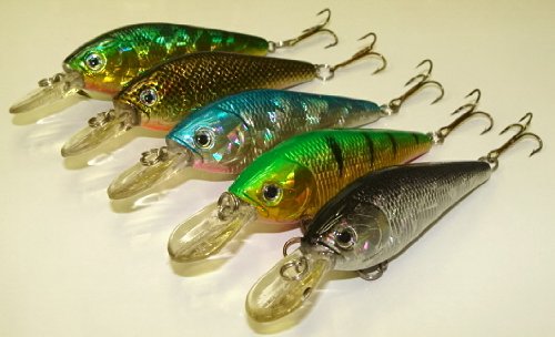 Cover image : 5 Custom Shad Lures - Plugs Crankbaits Bass Fishing Set L5AB