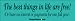 The Best Things In Life Are Free (or have no interest or payments for one full year) - funny bumper stickers (Large) Image