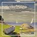 Kurt Atterberg: Symphony No. 9 "Visionaria"; Symphonic Poem "�lven"
