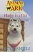 Husky in a Hut