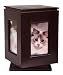 Classic Products Keepsake Pet Memorial Display, Medium Rotating 5" x 8", Mahogany