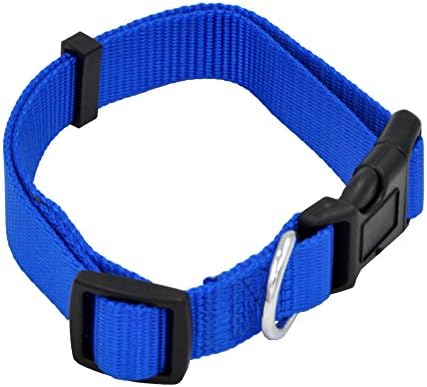 MeowWoof Nylon Adjustable Buckle Dog Collar Large Blue
