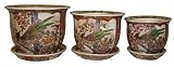 Porcelain pots / planters set of 3 - hand painted pheasant design