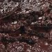 Gourmet Food : Bissinger's 60 Blueberry Bark, 11.5 oz dark