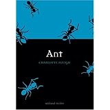 Ant