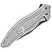 Kershaw 1840DAM Shallot Folding Knife Assisted 3-1/2