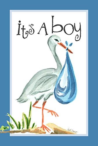 Toland it's a boy baby garden flag 12.5 X 18 (listing is for flag only pole not included)