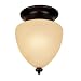 Kitchen & Housewares : Savoy House Venetian Guild Flush-Mount Ceiling Light