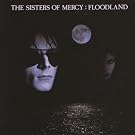Floodland (Remastered & Expanded)