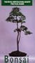 Practical Guide to Bonsai [VHS]