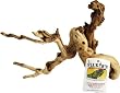 Fluker's Iguana Branch ? Medium