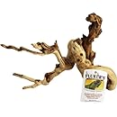 Flukers - Iguana Branch