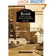 Eloise: Poorhouse, Farm, Asylum and Hospital 1839-1984 (MI) (Images of America) by Patricia Ibbotson
