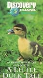 Little Duck Tale