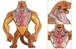 Ben 10 DNA Alien Heroes Humungousaur Action Figure 6-inch