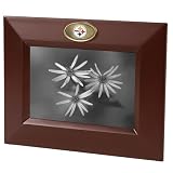 Review The Memory Company  / Pittsburgh Steelers Horizontal Picture Frame - Brown