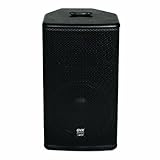 Gemini DJ GVX-12 Unpowered Speaker Cabinet