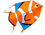 Clown Fish