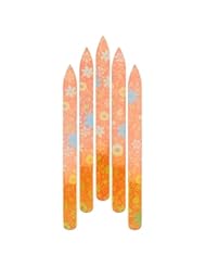Single Detail Page Misc: Everydaysource? Flower 20-Piece Set Crystal Glass Nail File - Everydaysource