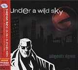 Under a Wild Sky