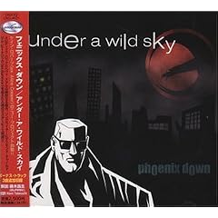 Under a Wild Sky