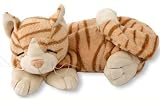 Doggles DOCOCT-26 Comfort Cat- Orange