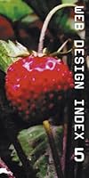 Web Design Index 5 (Web Design Index)