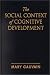 Social Influences on Cognitive Development (Guilford Series on Social and Emotional Development)