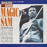 P-Vine Presents 21 Blues Giants