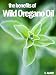 Oil of Oregano picture 41NKLW uHXL. SL75 Oil of Oregano