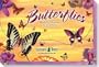Butterflies - Blank Card Assortment by Leanin' Tree (AST90644) - 20 cards with full-color interiors and 22 designed envelopes
