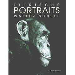 Tierische Portraits