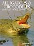 Alligators and Crocodiles: A Portrait of the Animal World