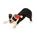 Border Collie Sandicast Holiday Ornament